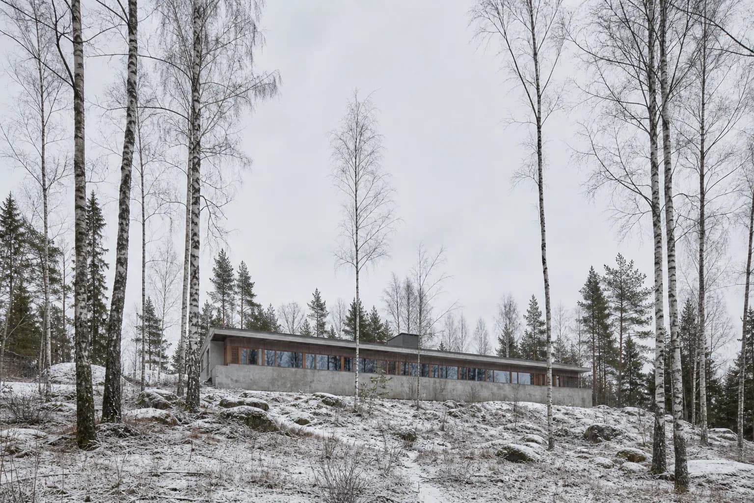 Birkely House: a low concrete and timber house with one long band of windows, set among snow-covered birch trees